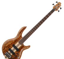 cort_a4-custom