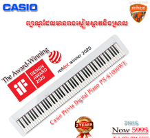 Casio PX-S1000WE copy
